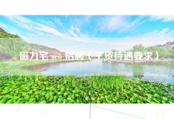 磁力宅 seo 招聘（工资待遇要求）