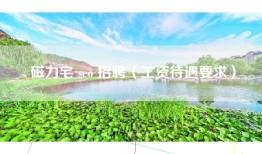 磁力宅 seo 招聘（工资待遇要求）