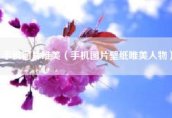手机图片唯美（手机图片壁纸唯美人物）