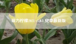 磁力柠檬2021 v1.0.1 安卓最新版