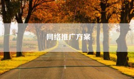 网络推广方案
