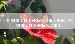 手机摄像头打不开怎么回事（小米手机摄像头打不开怎么回事）
