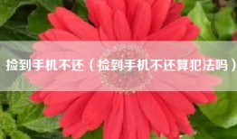 捡到手机不还（捡到手机不还算犯法吗）