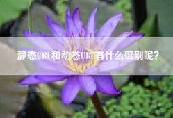 静态URL和动态URL有什么区别呢？