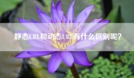 静态URL和动态URL有什么区别呢？