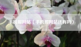 手机报网站（手机报网站还有吗）