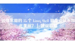 运维常用的 35 个 Linux Shell 脚本，从未如此美丽？｜ 建议收藏