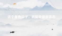 这个重要日子，武契奇最新表态