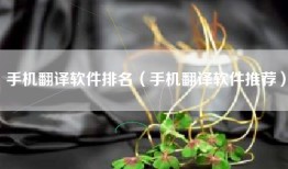 手机翻译软件排名（手机翻译软件推荐）