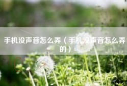 手机没声音怎么弄（手机没声音怎么弄的）