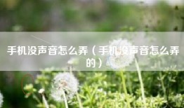 手机没声音怎么弄（手机没声音怎么弄的）