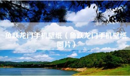 鱼跃龙门手机壁纸（鱼跃龙门手机壁纸图片）