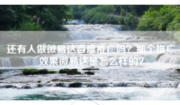 还有人做微易达百度推广吗？那个推广效果微易达是怎么样的？