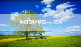 H5页面中预览word文件