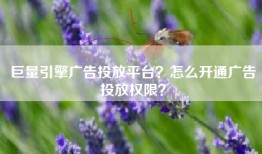 巨量引擎广告投放平台？怎么开通广告投放权限？