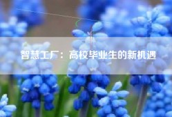 智慧工厂：高校毕业生的新机遇