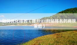 如何优化排名（提升SEO网站排名的高效策略）