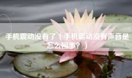 手机震动没有了（手机震动没有声音是怎么回事？）