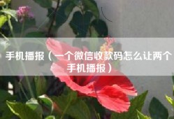 手机播报（一个微信收款码怎么让两个手机播报）