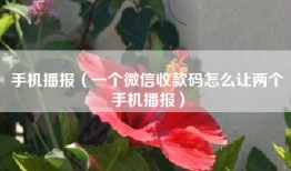 手机播报（一个微信收款码怎么让两个手机播报）