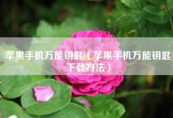 苹果手机万能钥匙（苹果手机万能钥匙下载方法）