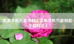 苹果手机万能钥匙（苹果手机万能钥匙下载方法）