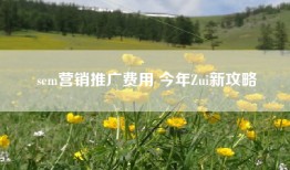 sem营销推广费用 今年Zui新攻略