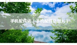 手机配件店（手机配件店图片）