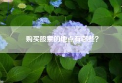 购买股票的地点有哪些？