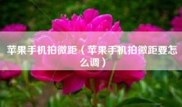 苹果手机拍微距（苹果手机拍微距要怎么调）