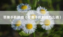 苹果手机触感（苹果手机触感怎么调）