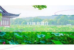 ICEBEAR简介