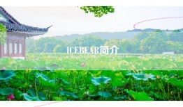 ICEBEAR简介