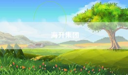 海升集团