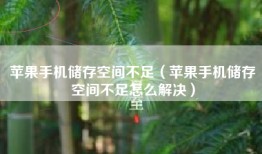 苹果手机储存空间不足（苹果手机储存空间不足怎么解决）