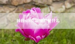 抖音SEM竞价推广是什么