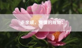 走亲戚，要懂的规矩：