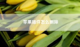 苹果插件怎么删除