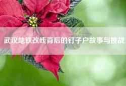 武汉地铁改线背后的钉子户故事与挑战