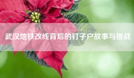 武汉地铁改线背后的钉子户故事与挑战