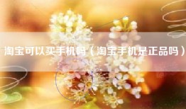 淘宝可以买手机吗（淘宝手机是正品吗）