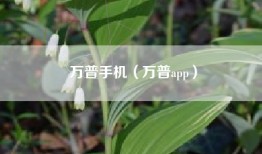 万普手机（万普app）