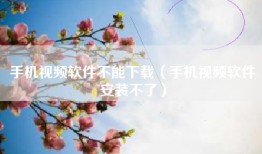 手机视频软件不能下载（手机视频软件安装不了）
