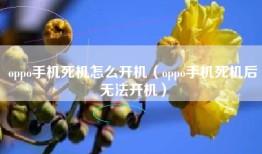 oppo手机死机怎么开机（oppo手机死机后无法开机）