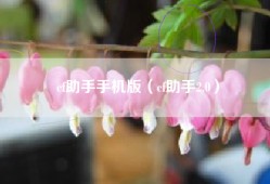 cf助手手机版（cf助手2.0）