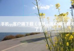 手机qq客户端下载（手机qq客户端下载不了）