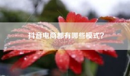 抖音电商都有哪些模式？