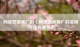 网络营销推广的（网络营销推广的常用方法有哪些）