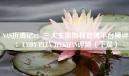 NAS折腾记4：三大主流影视管理平台横评：EMBY PLEX JELLYFIN评测（下篇）
