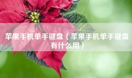苹果手机单手键盘（苹果手机单手键盘有什么用）